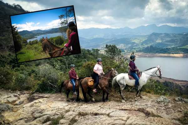 Experienced Horseback Riding