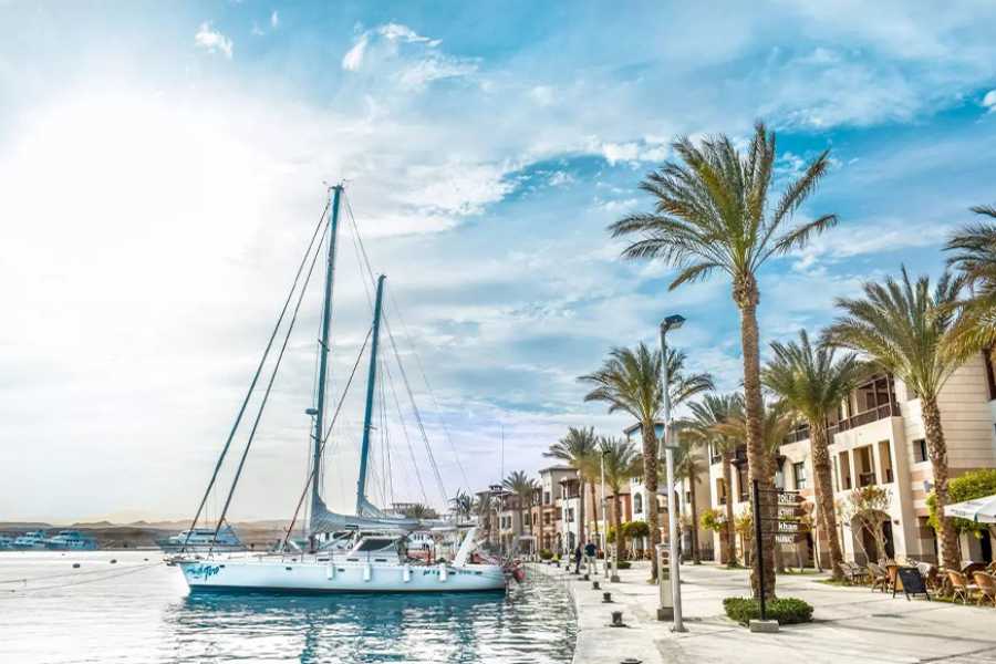 Egypt Tour packages Marsa Mubarak Excursión de buceo desde Marsa Alam