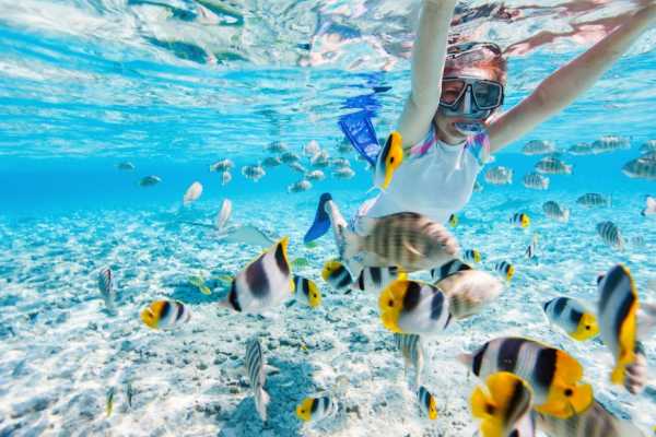 Shaab Samadai Snorkeling Trip From El Quseir