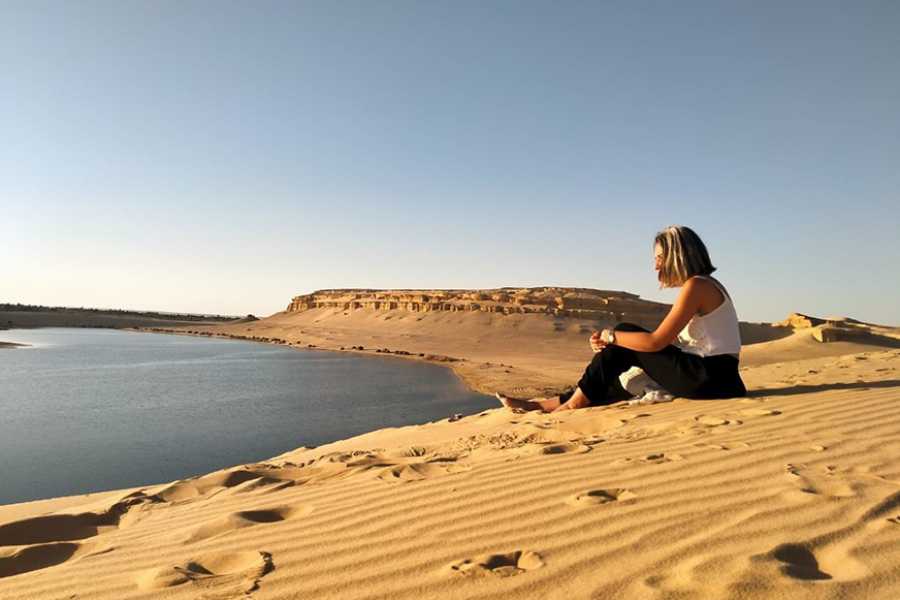 Tours to Egypt 4 DAY TOUR CAIRO AND FAYOUM FROM ALEXANDRIA