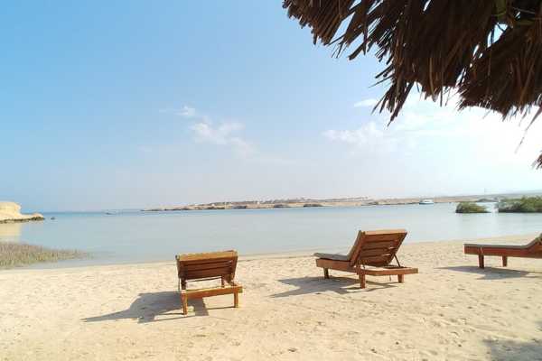 Transfer from Marsa Alam Airport to Mangrove Bay Resort