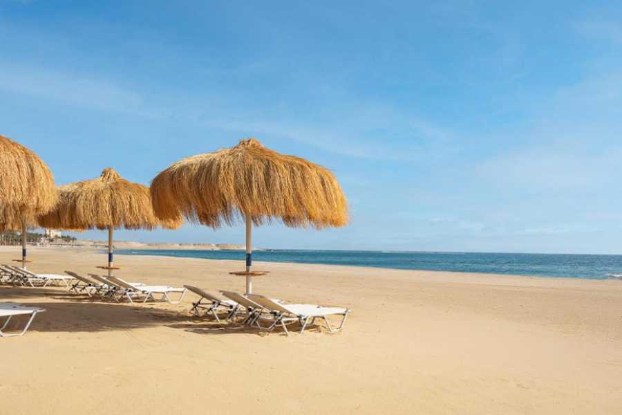 Egypt Tour packages Transfer from Marsa Alam Airport to Jaz Amara