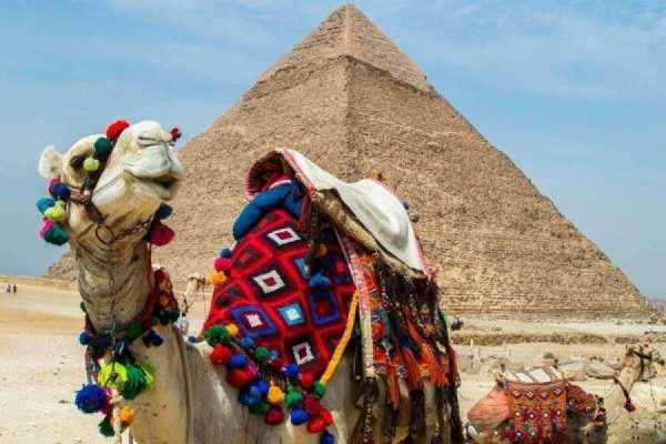 12 Days Egypt and Morocco Vacation