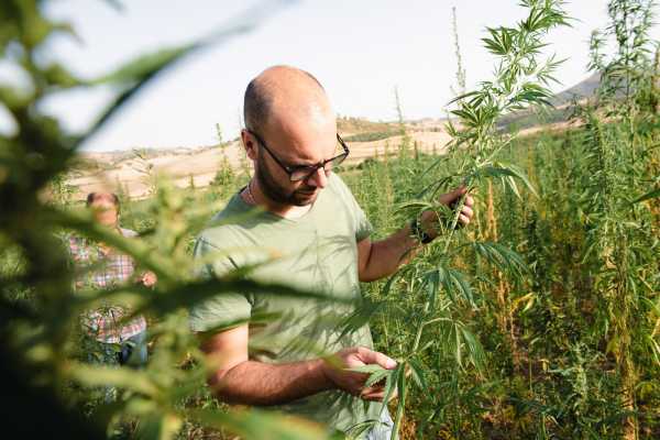 Passeggiata sensoriale con pranzo nelle campagne di Caltagirone