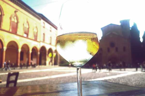 Bologna wine experience