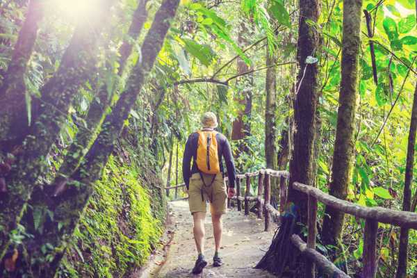 Arenal Sky Tram and Zip Line Tour