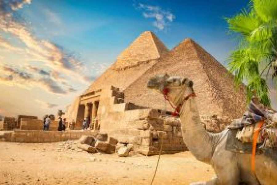 Tours to Egypt 8 Days Luxury Egypt package with a Nile Cruise from Canada 2024/2025