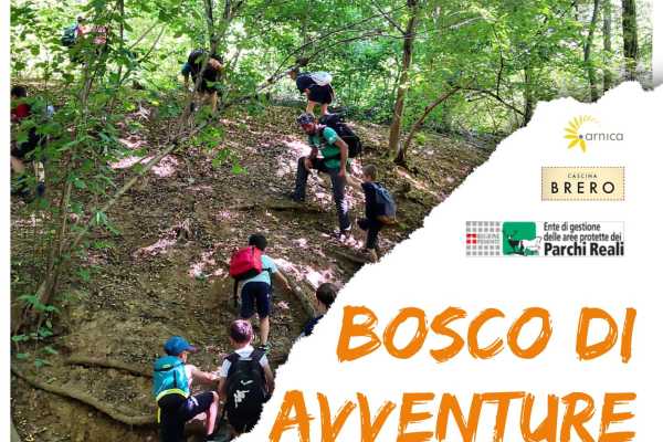 GRAN GALA' BOSCO DI AVVENTURE