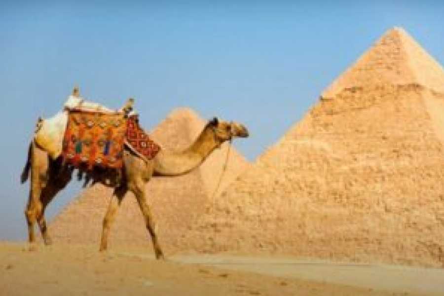 Tours to Egypt CROISI&Egrave;RE SUR LE NIL AU CAIRE ET VISITE D'HURGHADA 2024/2025