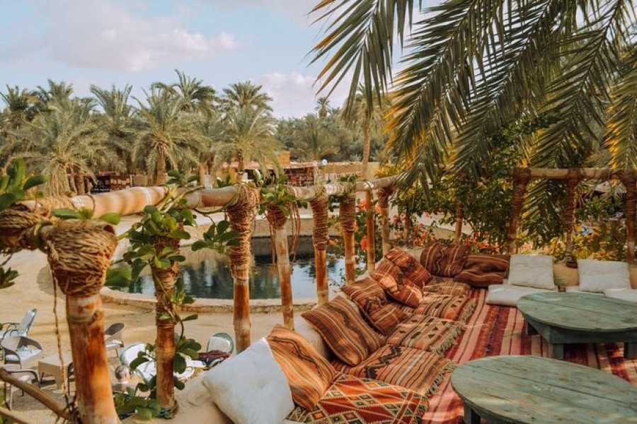 Egypt Tour packages 3 Days Trip to Siwa Oasis From Marsa Matrouh