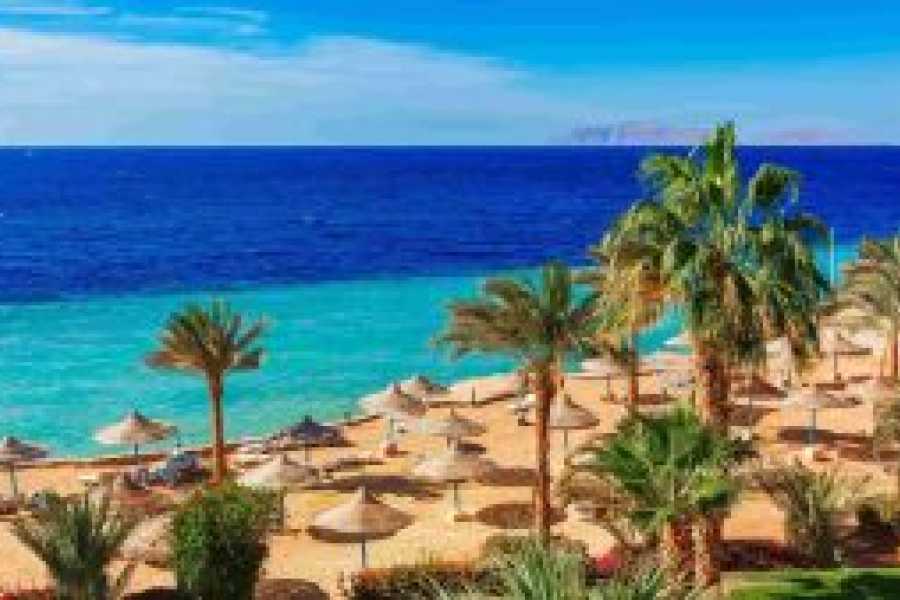 Tours to Egypt 5 days Egypt Luxury Holiday Package with Red Sea