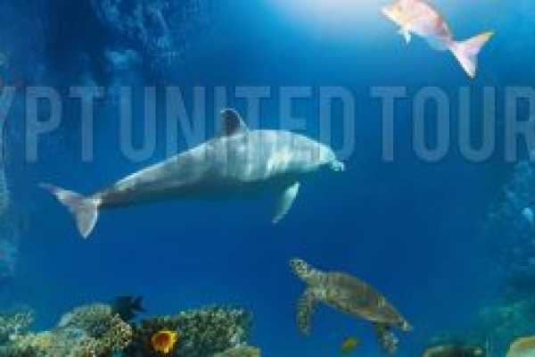 10 days Egypt Luxury Tour Package
