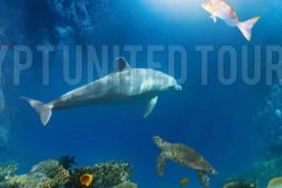 Tours to Egypt 7-T&Auml;GIGES LUXUS-&Auml;GYPTEN-URLAUBSPAKET VON HURGHADA NACH KAIRO