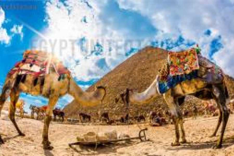 Tours to Egypt LES MEILLEURES VACANCES DE 7 JOURS EN &Eacute;GYPTE AVEC VOL DEPUIS L'AUSTRALIE 2024/2025