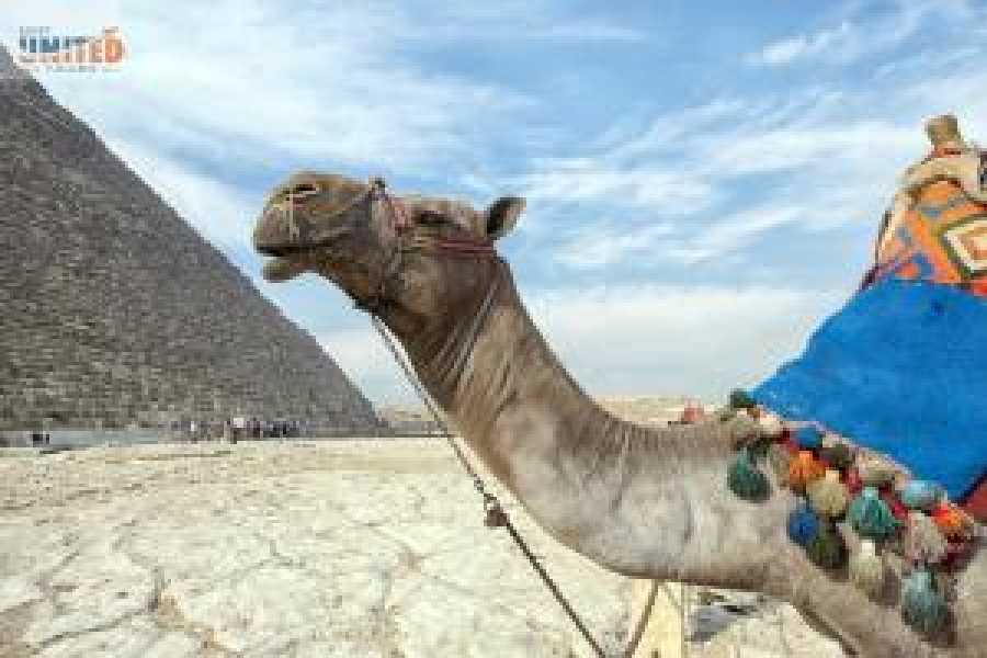 Tours to Egypt Cairo to Luxor Tour Package 2024/2025