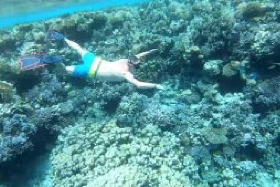 Tours to Egypt FORFAIT VACANCES TOUT COMPRIS DE 6 JOURS &Agrave; TABA, LE MIEUX NOT&Eacute;