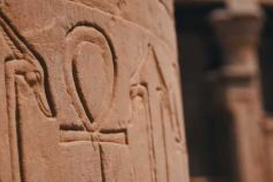 Tours to Egypt Cairo Luxor Aswan Abu Simbel and Hurghada Tour 2024/2025