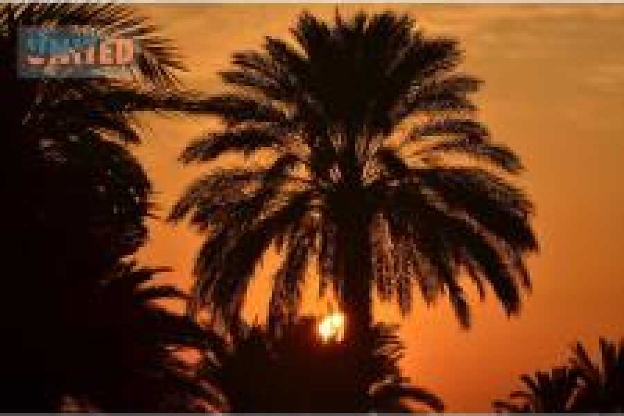 Tours to Egypt WIRTSCHAFTSREISE IN &Auml;GYPTEN 7 TAGE 2024/2025