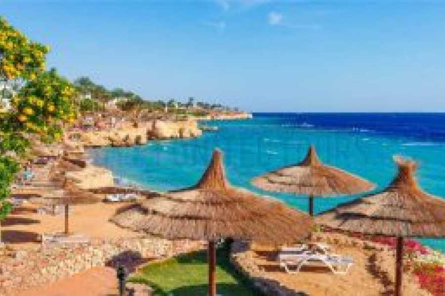 Tours to Egypt FORFAIT VACANCES DE LUXE DE 6 JOURS EN &Eacute;GYPTE &Agrave; LA MER ROUGE