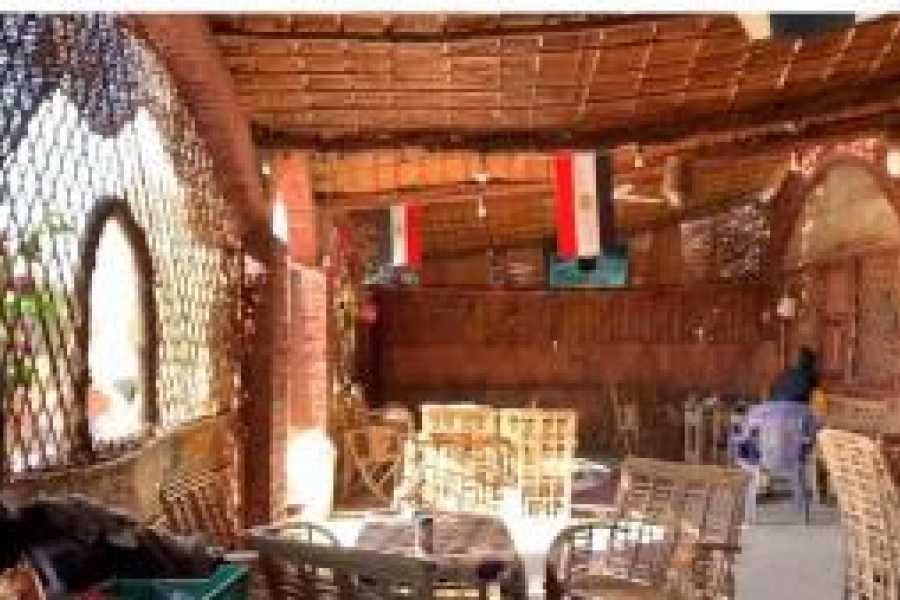 Tours to Egypt Black and White Desert Tour from Cairo 2024/2025