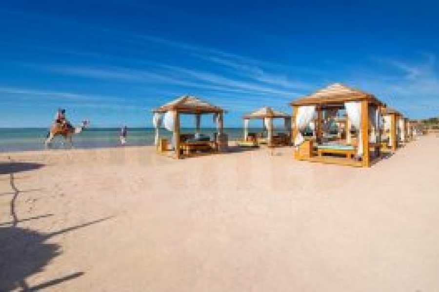 Tours to Egypt 6 Days at Amwaj Oyoun Resort in Sharm El Sheikh 2024/2025
