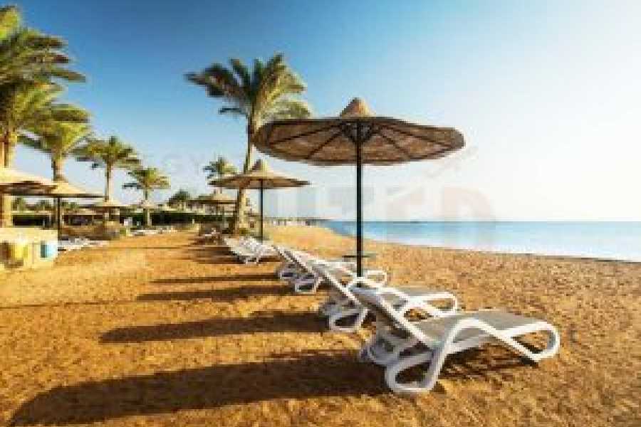 Tours to Egypt 5 Days at Aurora Hotel in Sharm El Sheikh 2024/2025