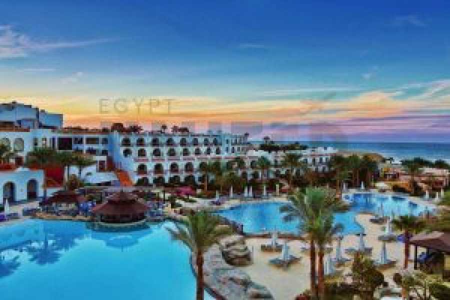 Tours to Egypt 4 Days at Savoy Hotel in Sharm El Sheikh 2024/2025