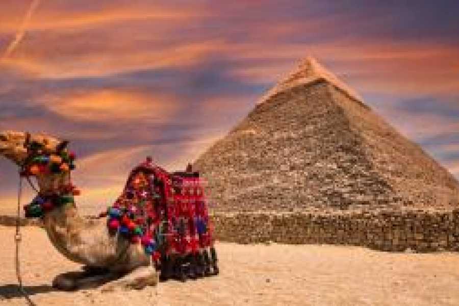 Tours to Egypt A Exquisite 6 Days The Pyramisa Suites Hotel Package 2024/2025