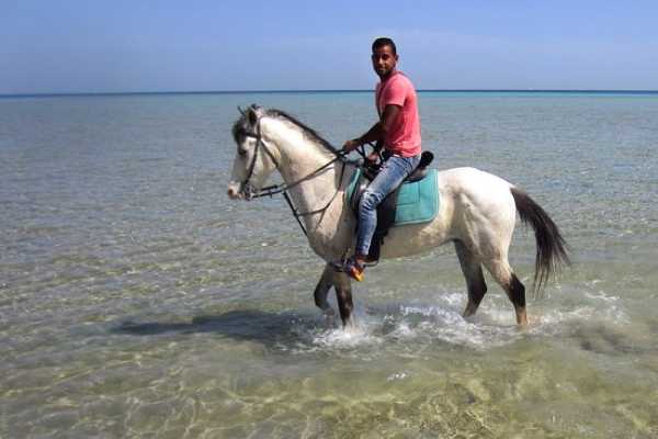 Horse riding in Hurghada 2 hours by the desert & the sea