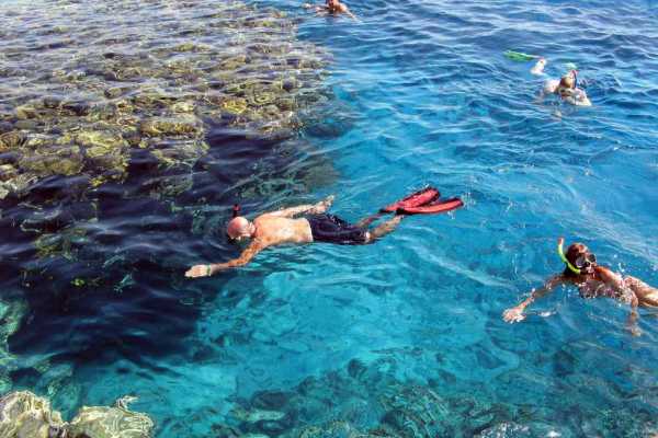 Overnight snorkeling trip at Satayah dolphin reef from Marsa Alam