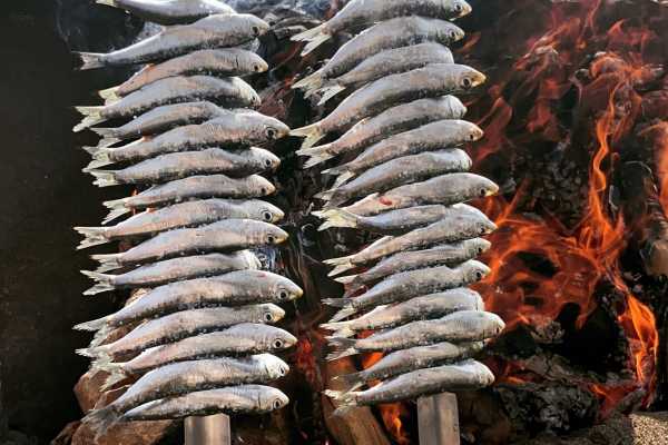 Traditions and Flamenquito M&aacute;laga Gastronomy Experiences