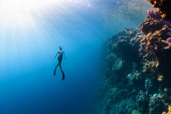 Freediving - Coaching