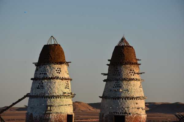 Star Gazing Trip from Makadi