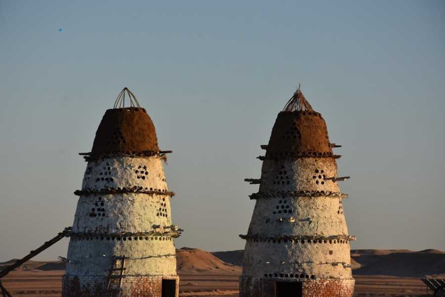 Egypt Tour packages Star Gazing Trip from Makadi