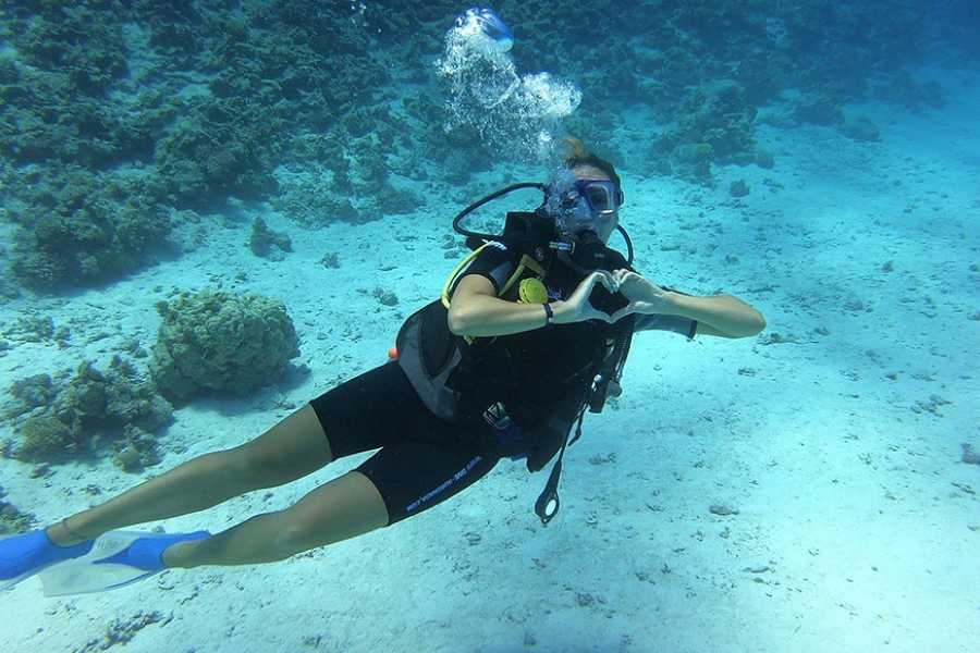 Egypt Tour packages Scuba Diving Day trip from Makadi