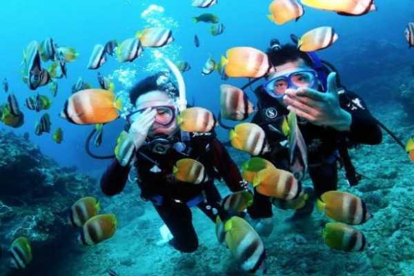 PADI Specialty - Fish Identification**