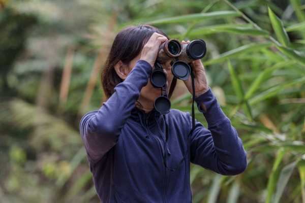 BIRDWATCHING- speciale autunno