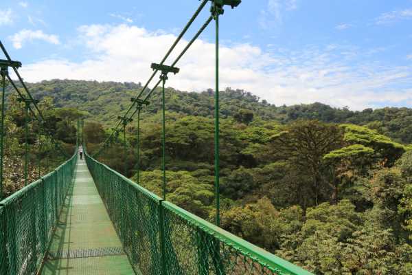 Mistico Hanging Bridges Walk 