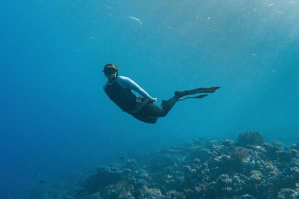 Freediving -PADI Freediver Course e-Learning