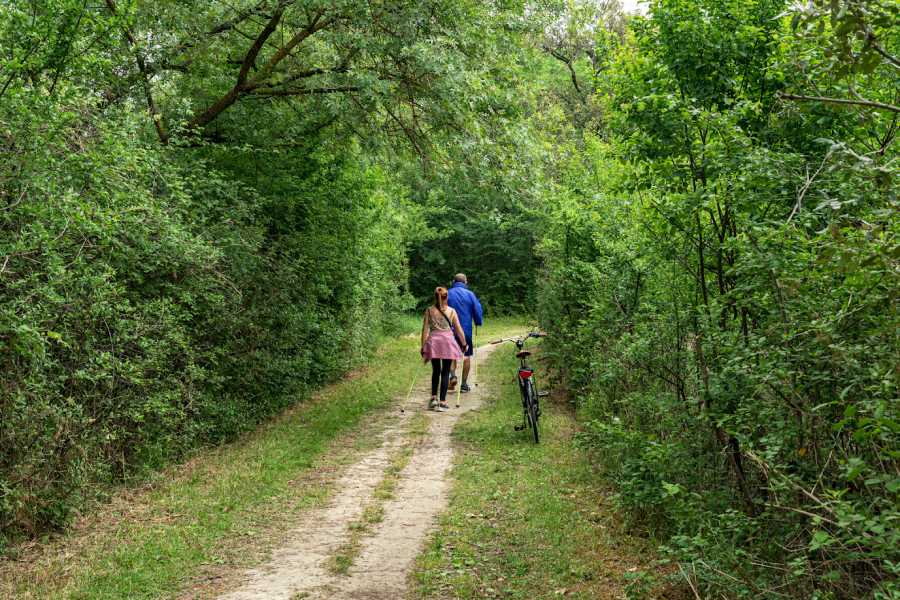 Discover Cervia (ERW) Angebot Aufenthalt - Entdecken Sie den Weg die Via Popilia: Natur und Geschichte zwischen Cervia, Lido di Savio und Classe