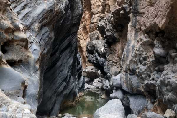Wet & Wild: Snake Canyon Adventure