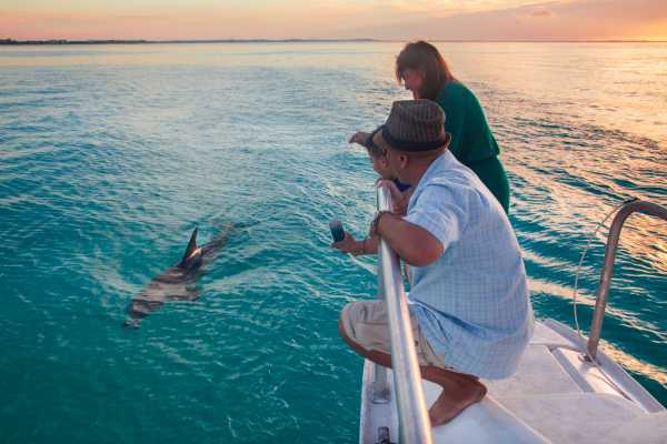 Private Glow Worm, Sunset & Stargazing Cruise