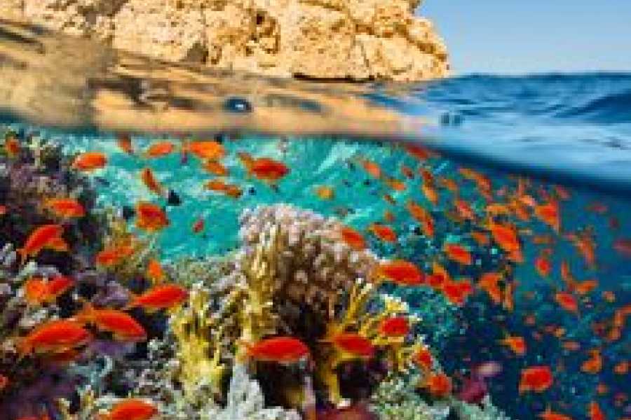 Bastet Travel Egypt 5 Day Hurghada Tour Package