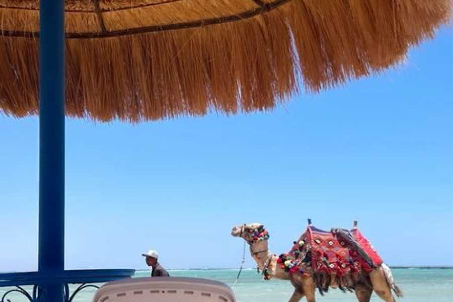 Bastet Travel Egypt Day Tour to Luxor from Dahab by Flight