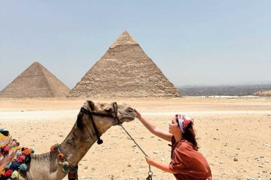 Bastet Travel Egypt Egypt in Luxury Nile Cruise