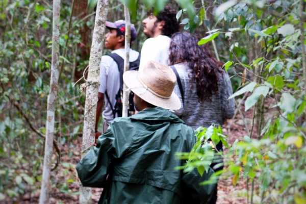 Sunrise hike at Calakmul BioReserve