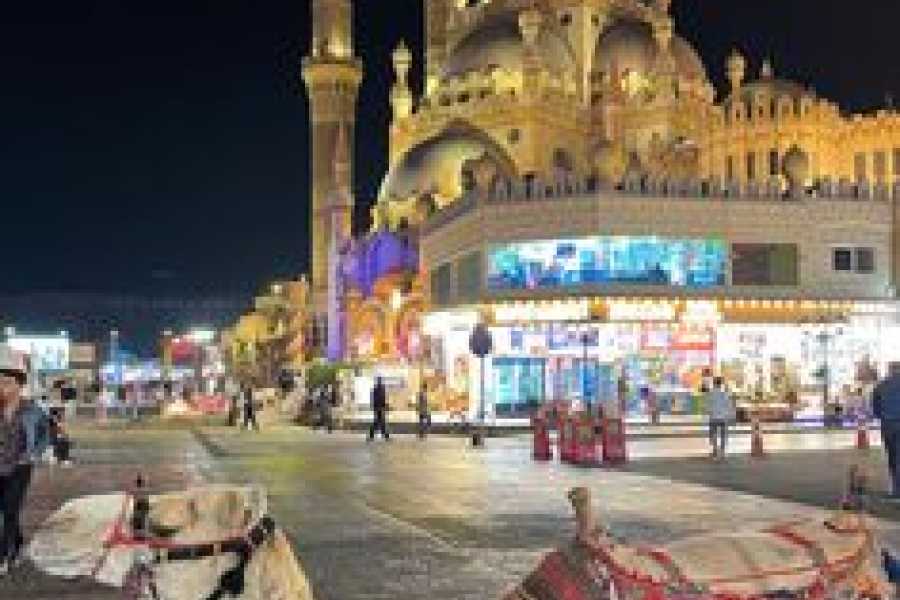 Bastet Travel Egypt Egypt Unplugged for Teens