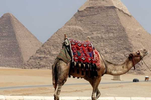 Tour to Giza Pyramids Memphis and Sakkara