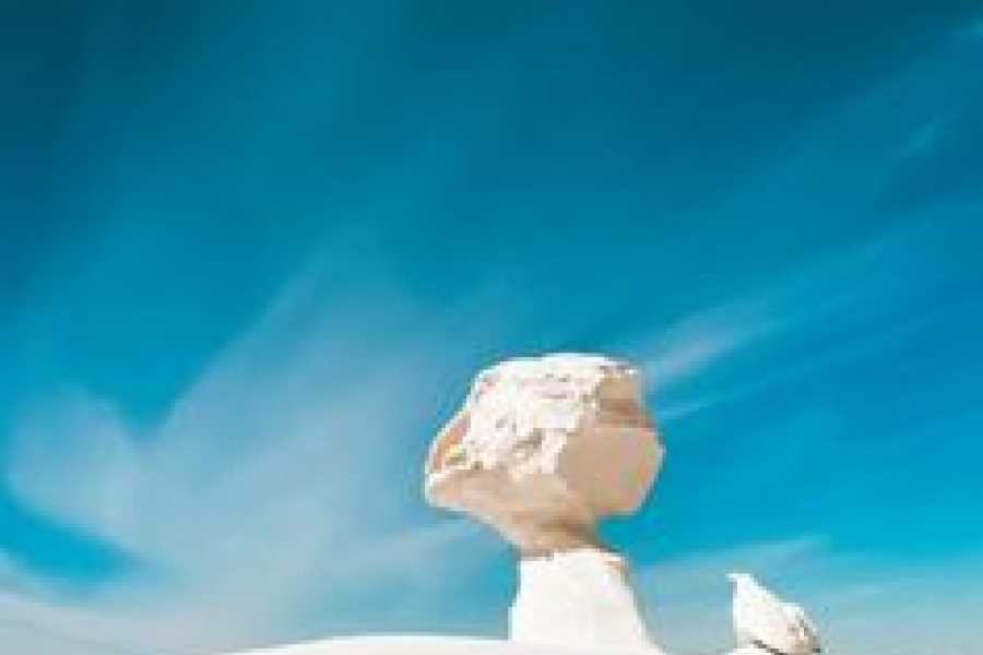 Bastet Travel Egypt Safari In Baharyia Oasis Tour Package