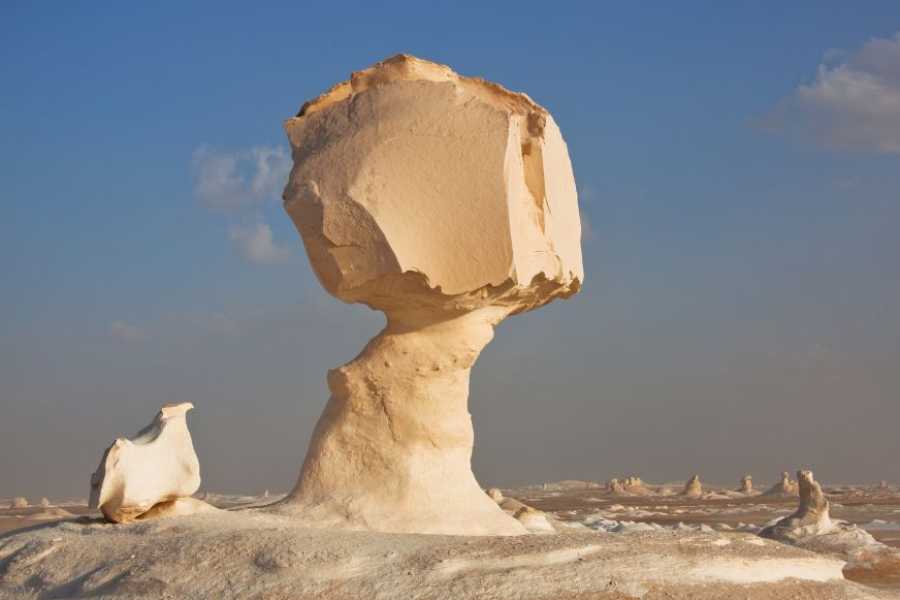 Egypt Tour packages 4 dage Kairo Rejseplan med den hvide &oslash;rken